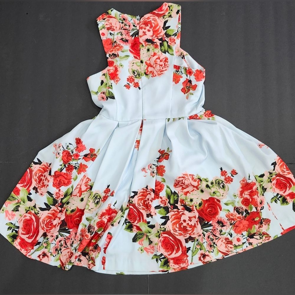 Gianni Bini Floral Mini Dress - Light Blue and Red - Picture 7 of 10